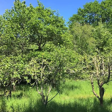 Charme Et Calme Dans Bergerie Du Xvii Eme Vakantiehuis *
