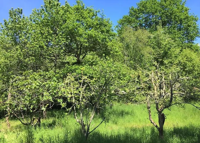 Charme Et Calme Dans Bergerie Du Xvii Eme Σπίτι διακοπών *